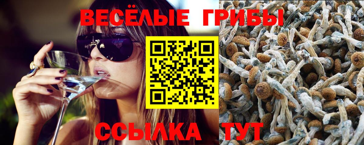 Псилоцибиновые грибы прущие грибы  сколько стоит  Миллерово  Вход с VPN  Псилоцибиновые грибы Magic Shrooms 
